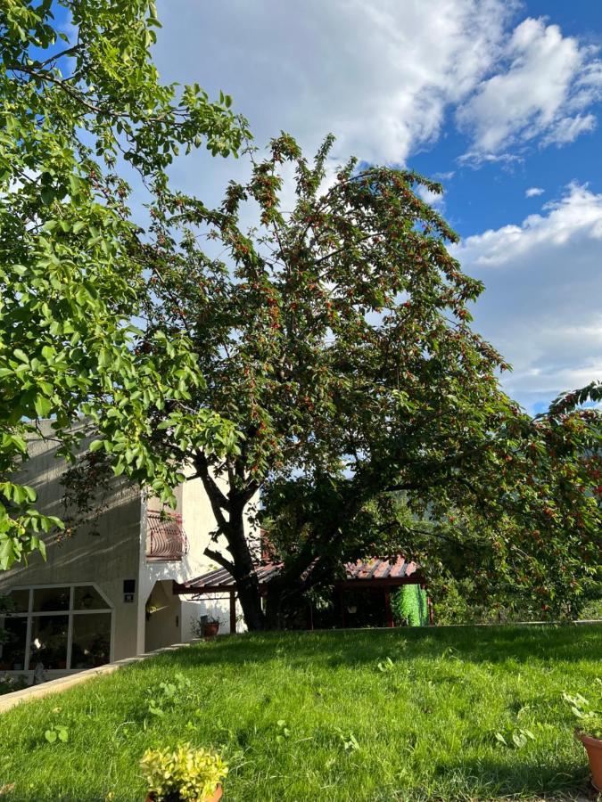 Apartament Green Valley Omiš Dış mekan fotoğraf