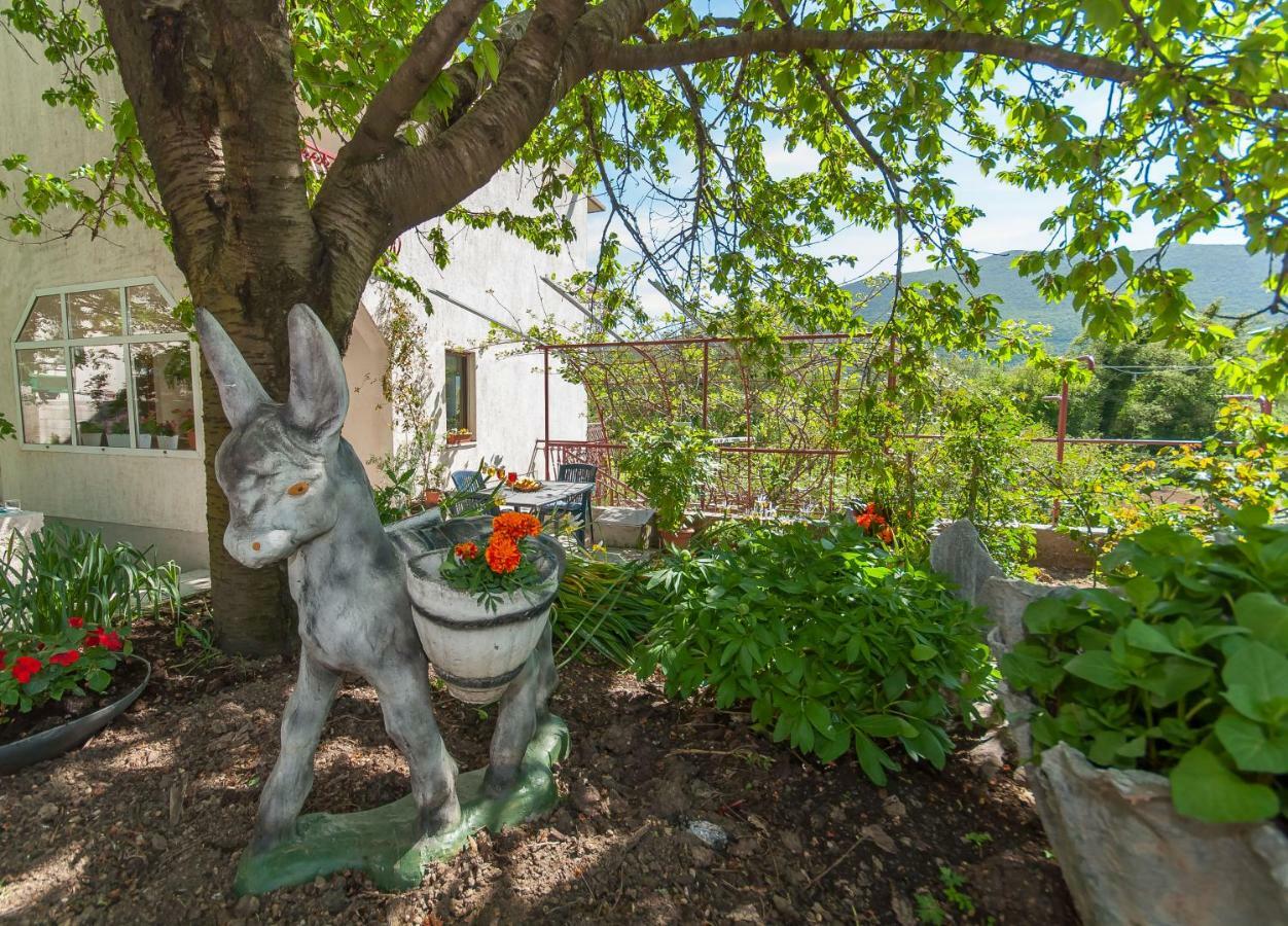 Apartament Green Valley Omiš Dış mekan fotoğraf